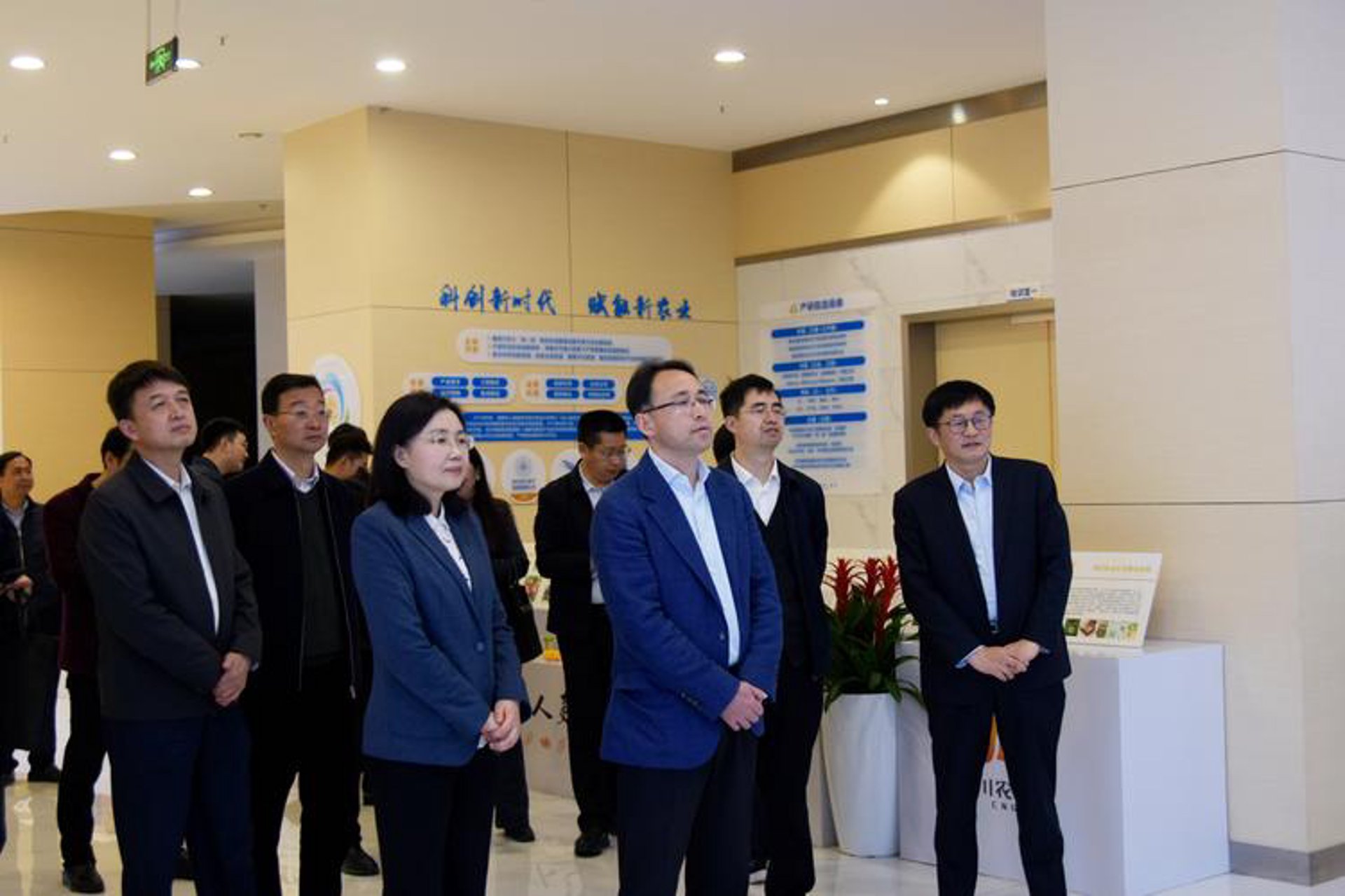 鸿雅欣源网络